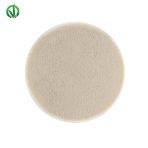 LEPO SPUGNETTA-IN-LATTICE-657